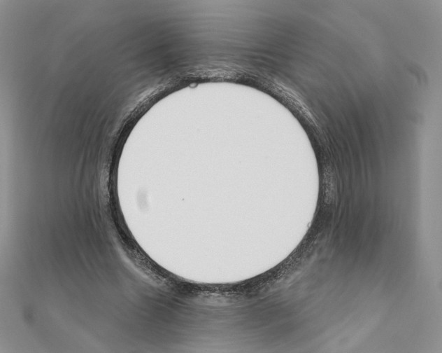 X0000110980538200907310951