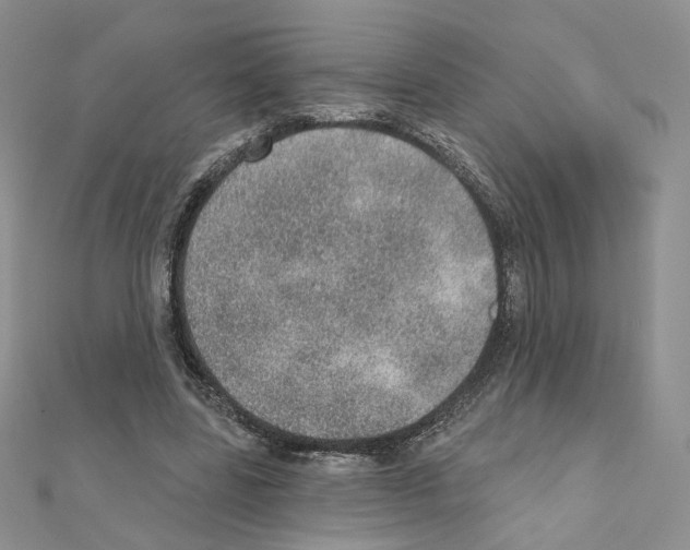 X0000110980539200907310951