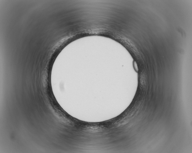 X0000110980540200907310951