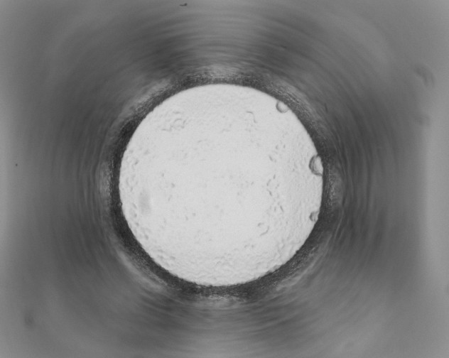 X0000110980542200907310951