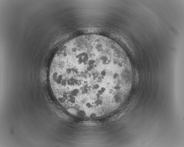 X0000110980545200907310951