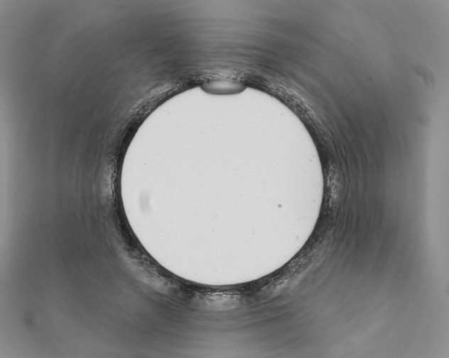 X0000110980546200907310951