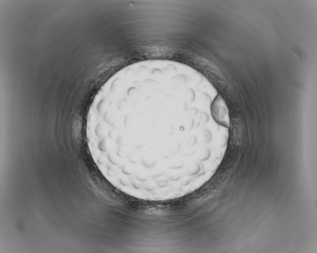 X0000110980550200907310951