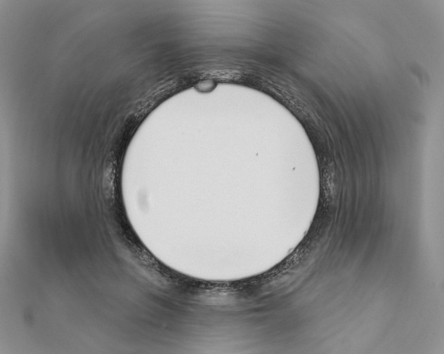 X0000110980551200907310951