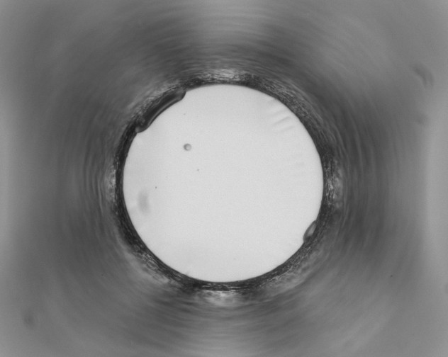 X0000110980552200907310951