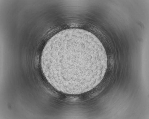 X0000110980554200907310951