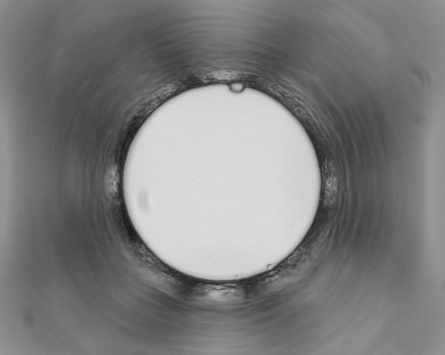 X0000110980555200907310951