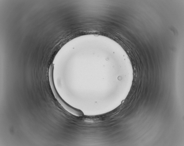 X0000110980556200907310951