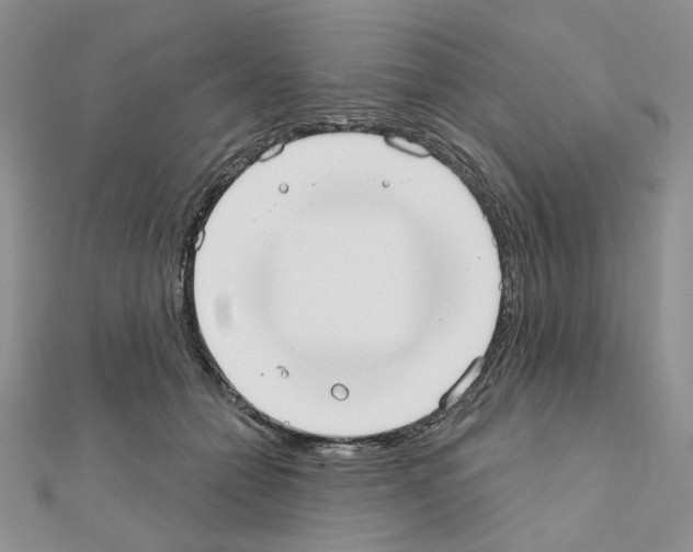 X0000110980558200907310951