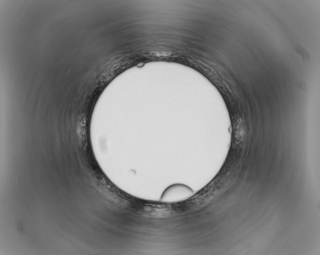 X0000110980559200907310951