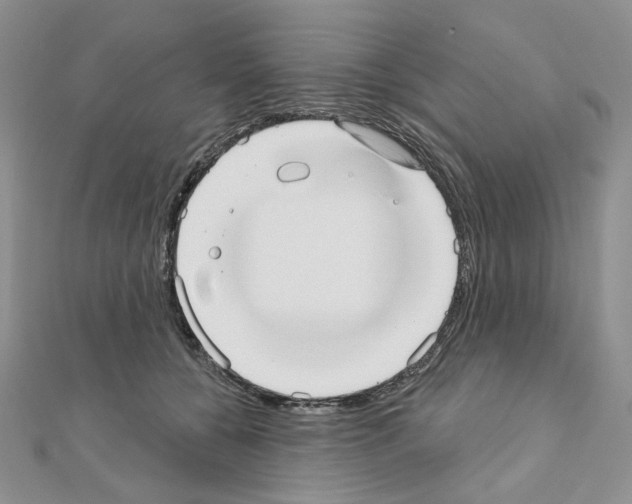 X0000110980560200907310952