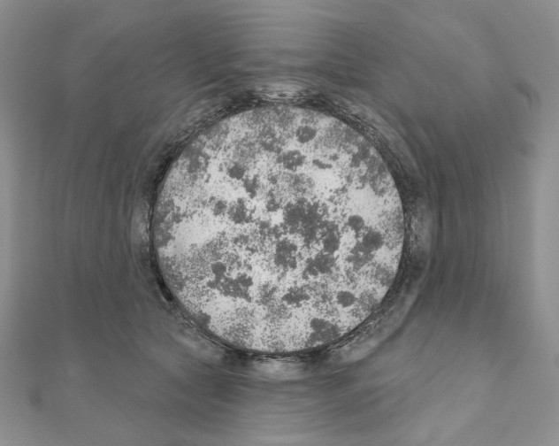X0000110980561200907310952
