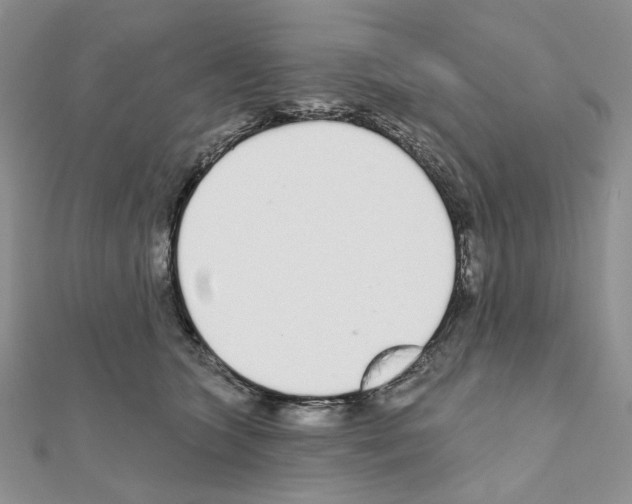 X0000110980563200907310952