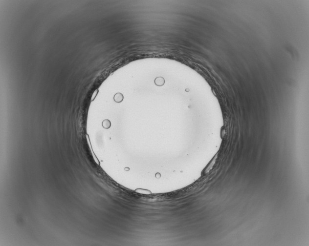 X0000110980564200907310952