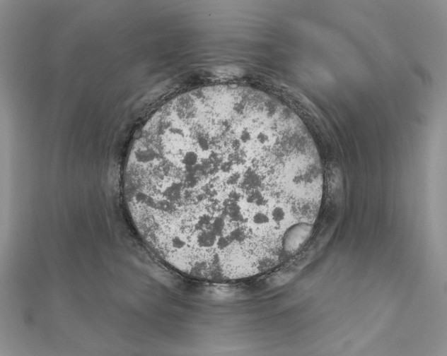 X0000110980565200907310952
