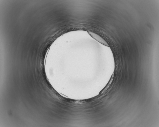X0000110980566200907310952