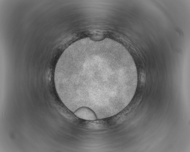 X0000110980567200907310952