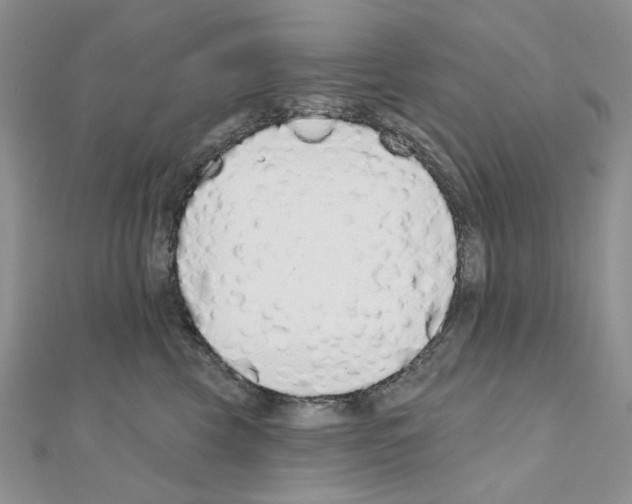 X0000110980569200907310952