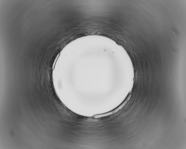 X0000110980570200907310952