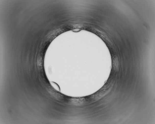 X0000110980571200907310952
