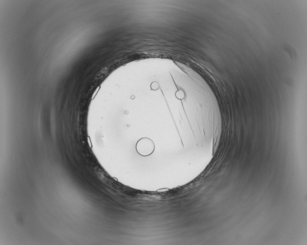 X0000110980572200907310952