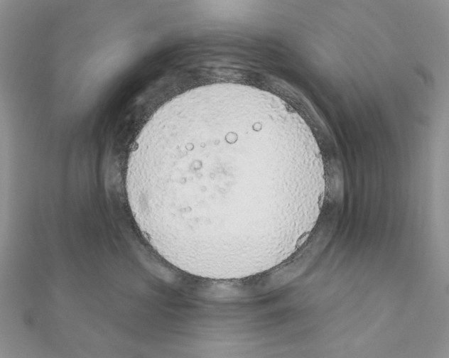 X0000110980573200907310952