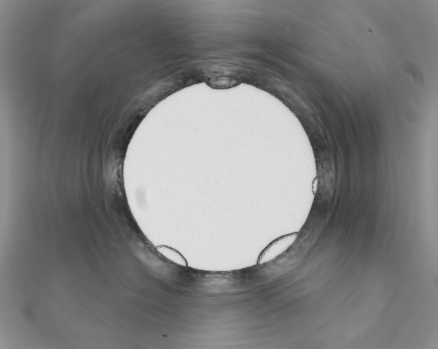 X0000110980574200907310952