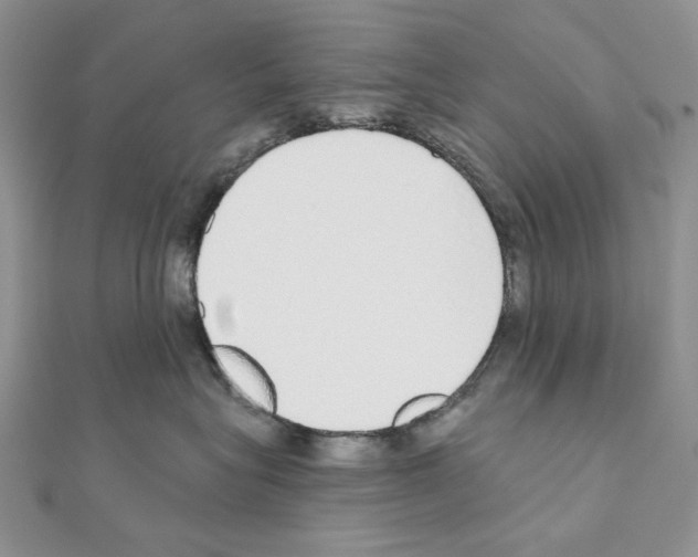 X0000110980575200907310952