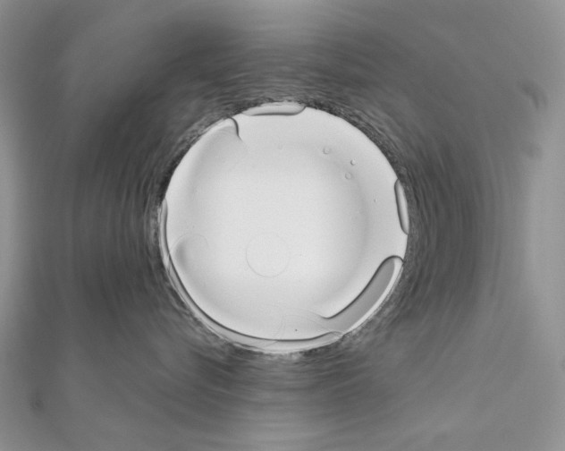X0000110980576200907310952