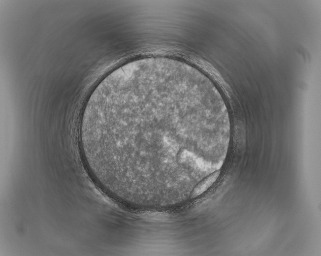 X0000110980577200907310951