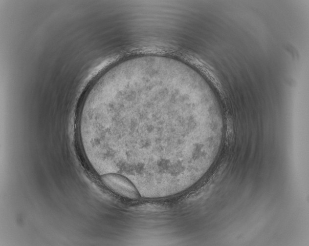 X0000110980578200907310951
