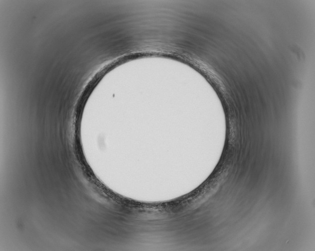 X0000110980580200907310951