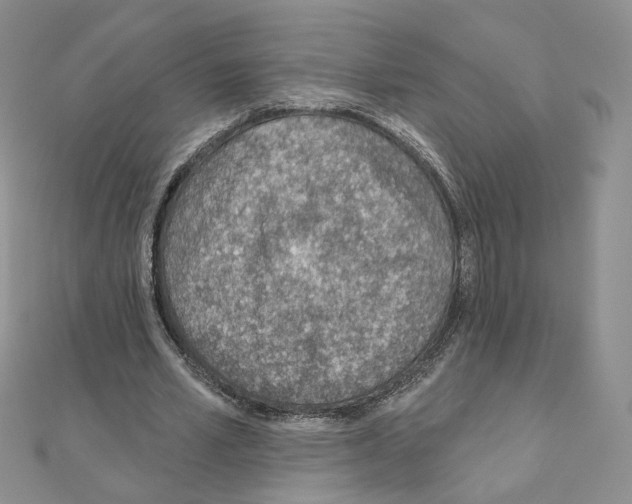 X0000110980581200907310951