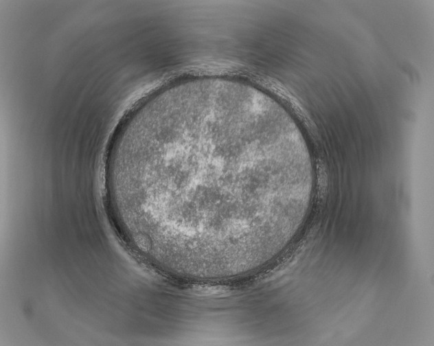 X0000110980582200907310951