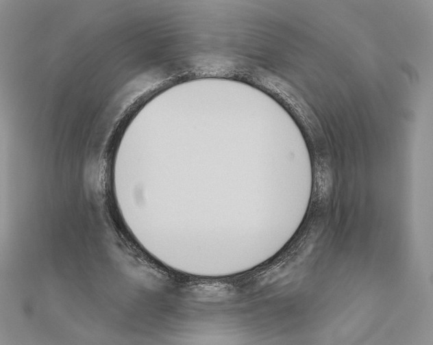 X0000110980583200907310951