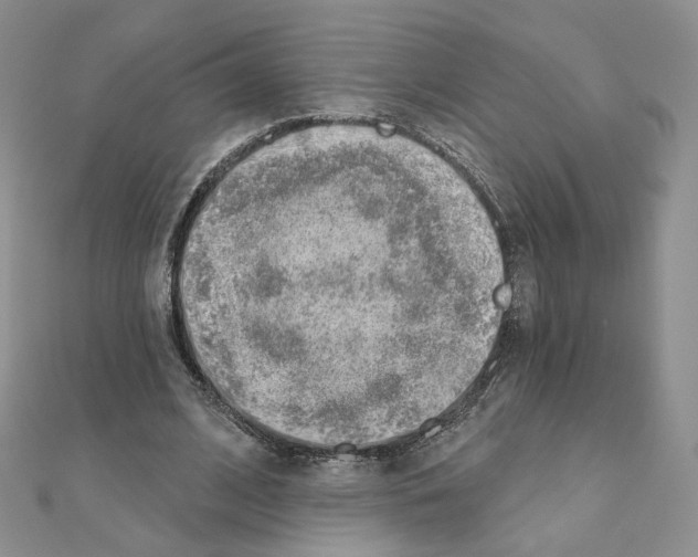 X0000110980584200907310951