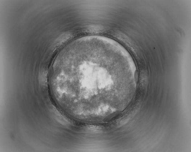 X0000110980585200907310951