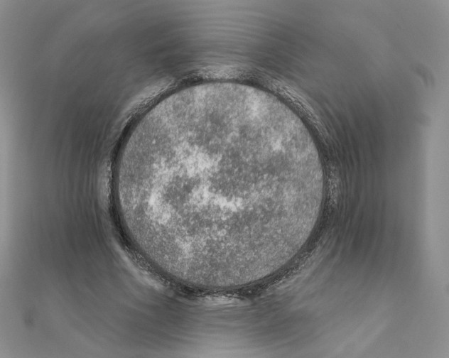 X0000110980586200907310951