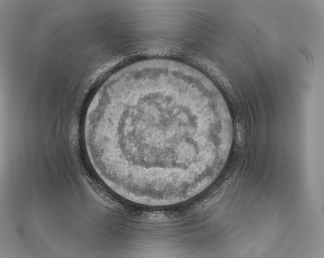 X0000110980588200907310951