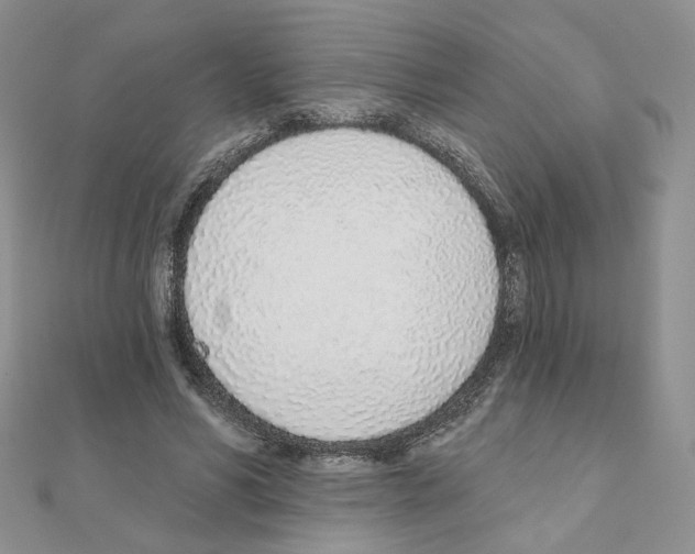 X0000110980590200907310951