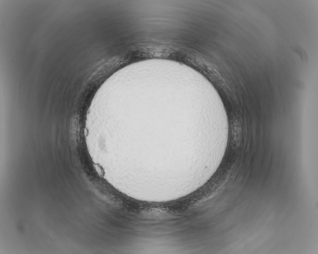 X0000110980594200907310951