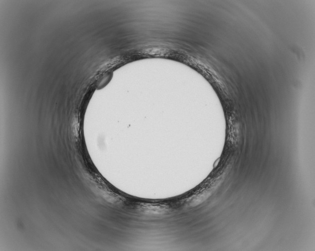 X0000110980597200907310951