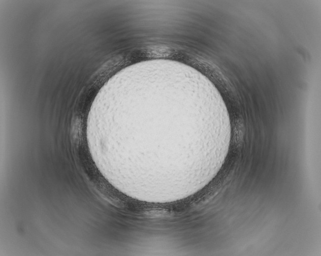 X0000110980598200907310951