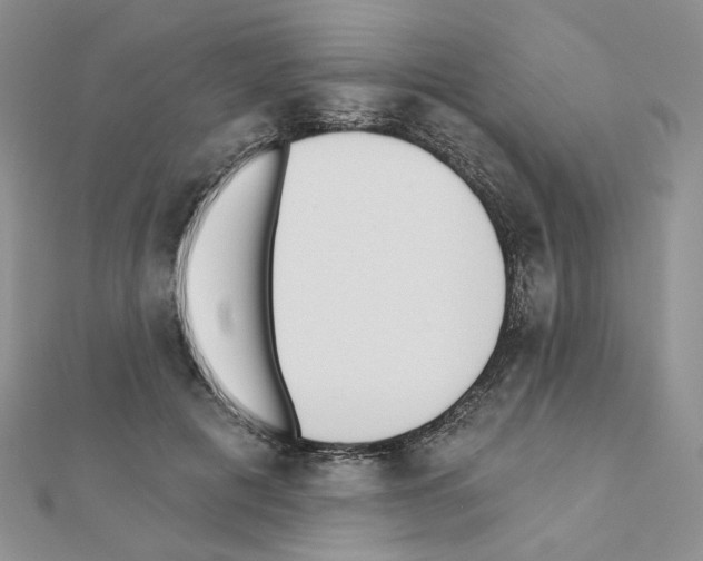 X0000110980601200907310951