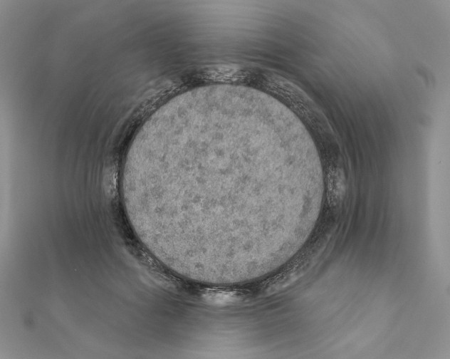 X0000110980602200907310951