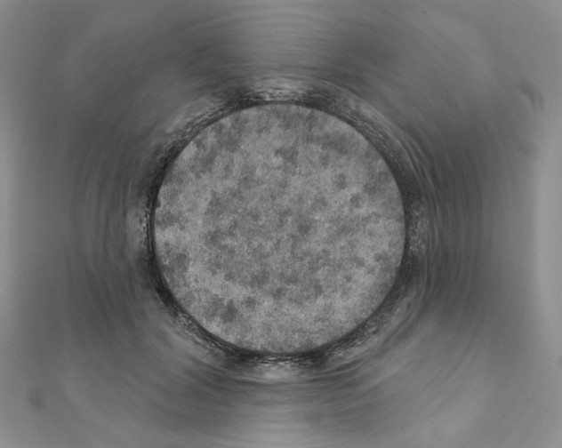 X0000110980604200907310951