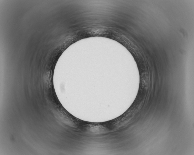 X0000110980605200907310951