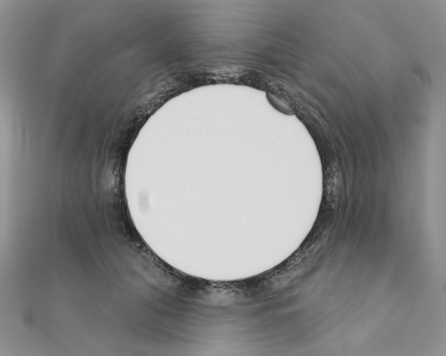X0000110980608200907310951