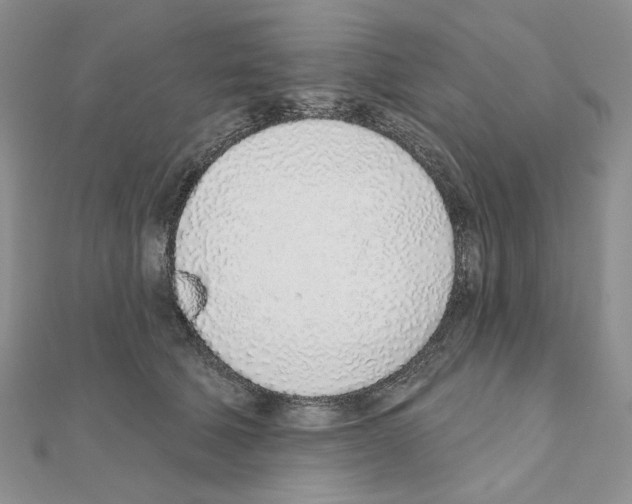 X0000110980610200907310951