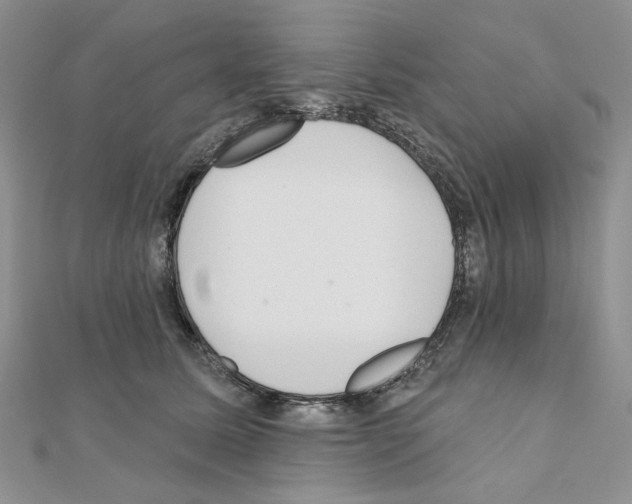 X0000110980611200907310951